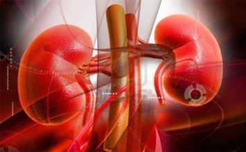 10 dấu hiệu cảnh báo bệnh thận